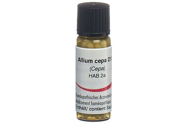 Omida allium cepa glob 12 D 2 g