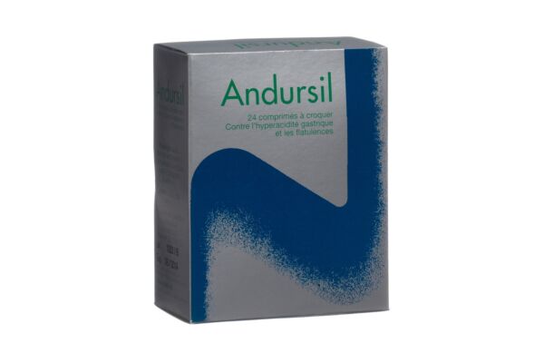 Andursil cpr croquer 24 pce