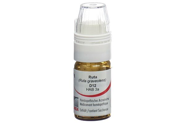 Omida Ruta Glob D 12 mit Dosierhilfe 4 g