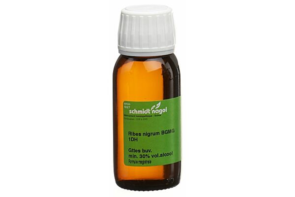SN Ribes nigrum BG Glyc Maz DH 1 60 ml