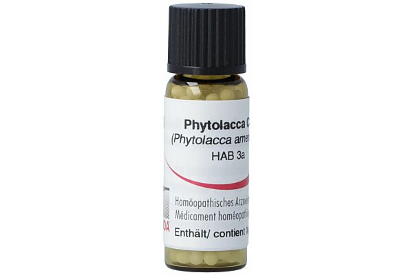 Omida Phytolacca Glob C 30 Xylit 2 g