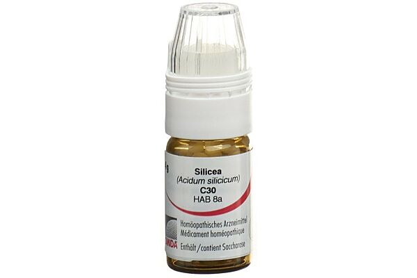 Omida Silicea Glob C 30 mit Dosierhilfe 4 g