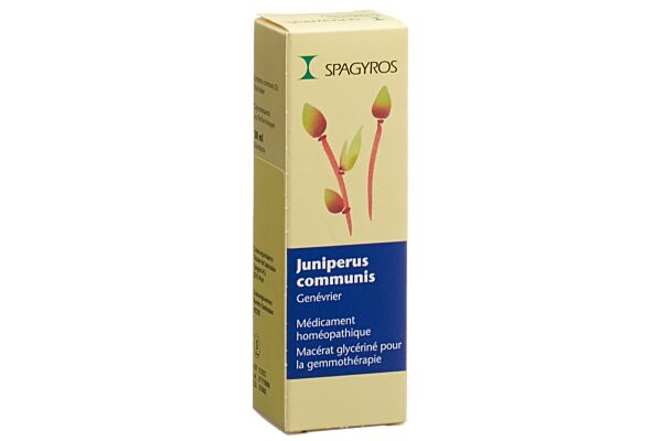 Spagyros Gemmo juniperus communis mac glyc 1 D spr 30 ml