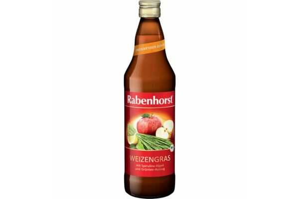 Rabenhorst Weizengras Cocktail Bio 750 ml