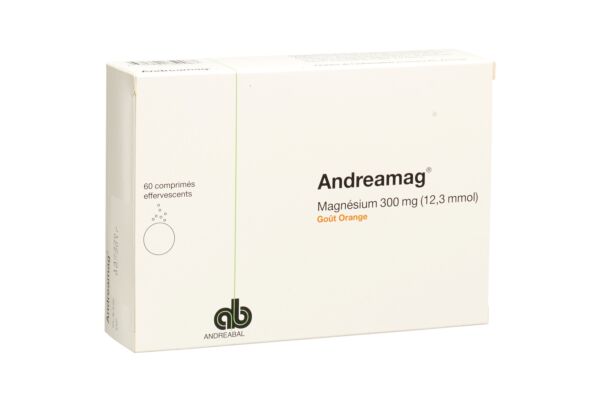 AndreaMag Brausetabl 300 mg mit Orangenaroma Ds 60 Stk