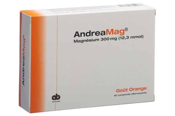 AndreaMag cpr eff 300 mg avec arôme orange bte 60 pce