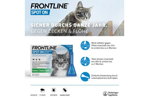 Frontline Spot On Katze Liste D 6 x 0.5 ml
