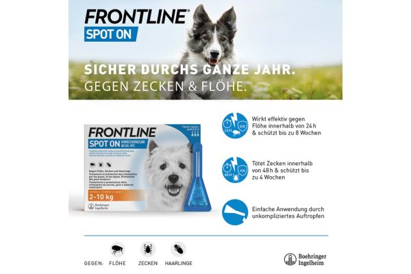 Frontline spot on chien M liste D 3 x 1.34 ml