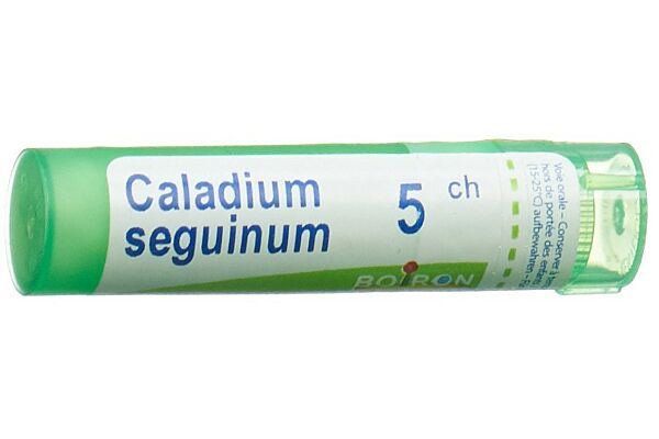 Boiron Caladium seguinum Gran CH 5 4 g