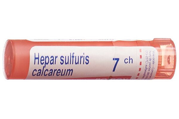 Boiron Hepar sulfuris calcareum Gran CH 7 4 g