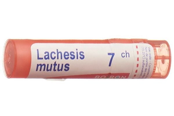 Boiron lachesis mutus gran 7 CH 4 g