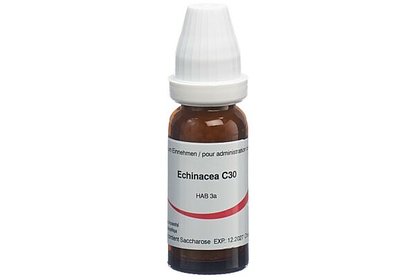 Omida echinacea glob 30 C 14 g