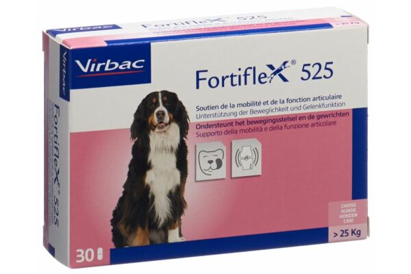 Fortiflex cpr 525 mg blist 30 pce