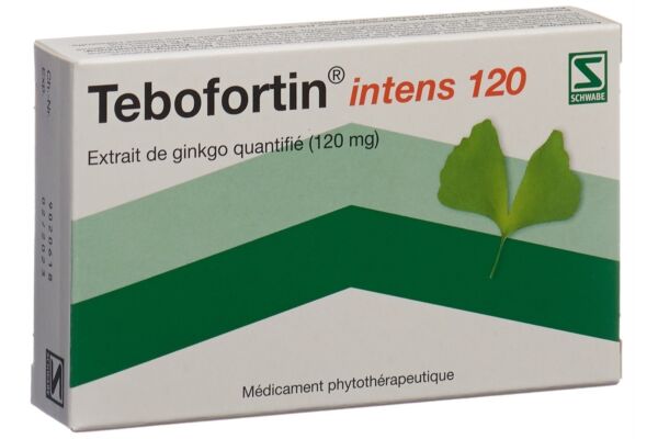 Tebofortin intens 120 Filmtabl 120 mg 30 Stk