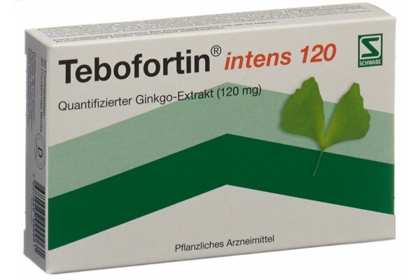 Tebofortin intens 120 Filmtabl 120 mg 30 Stk