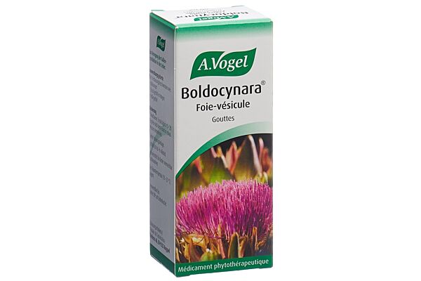 Vogel Boldocynara Leber-Galle Tropfen Fl 50 ml