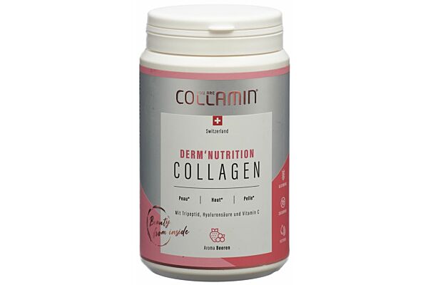 COLLAMIN Derm'Nutrition Collagen Peptide 28 Portionen Ds 480 g