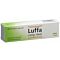Luffa compositum Heel spray nasal 20 ml thumbnail